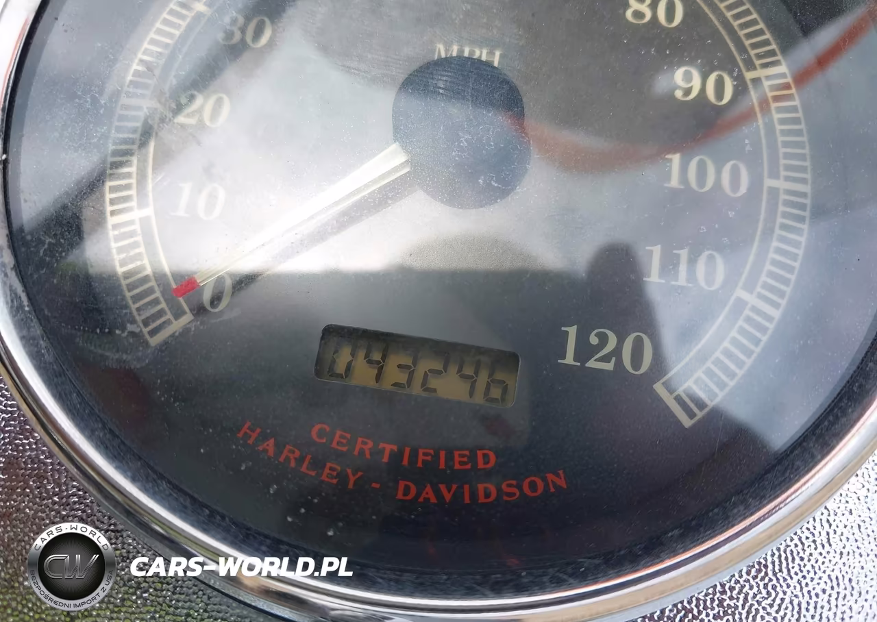 2003 Harley-Davidson Flstci VIN:1HD1BWB123Y048966 - 7