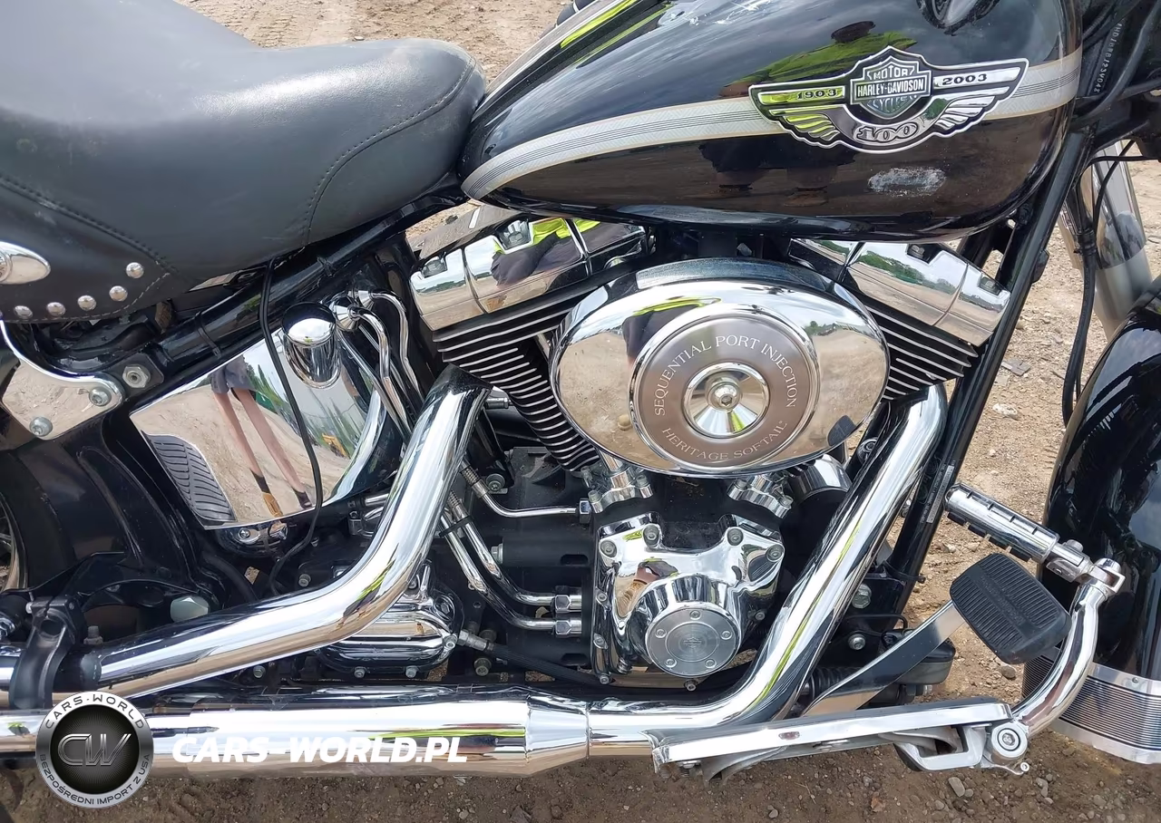2003 Harley-Davidson Flstci VIN:1HD1BWB123Y048966 - 8