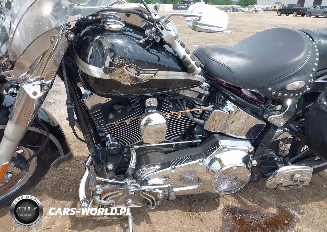 2003 Harley-Davidson Flstci VIN:1HD1BWB123Y048966 - 9