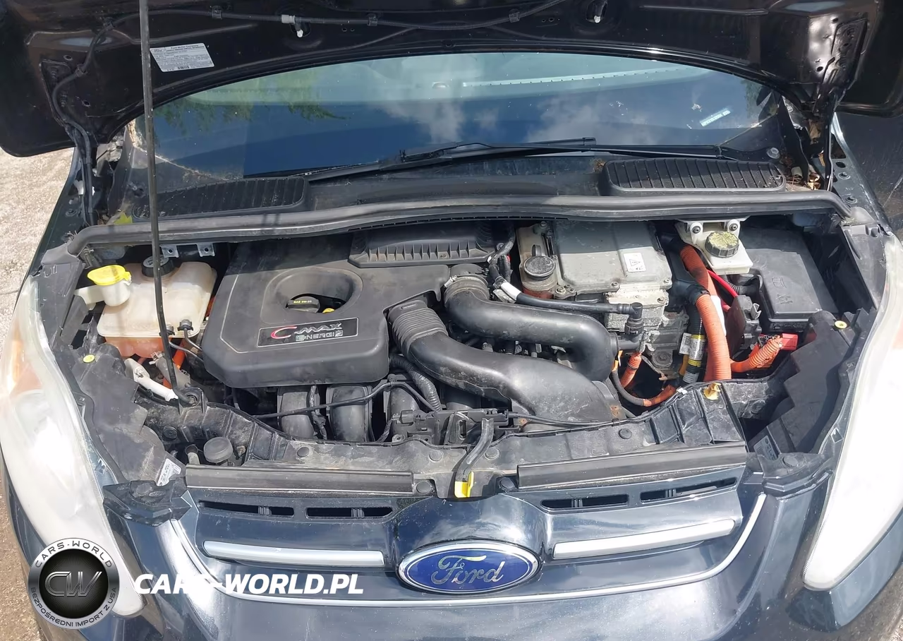 2013 Ford C-Max Energi Sel VIN:1FADP5CU1DL529394 - 10