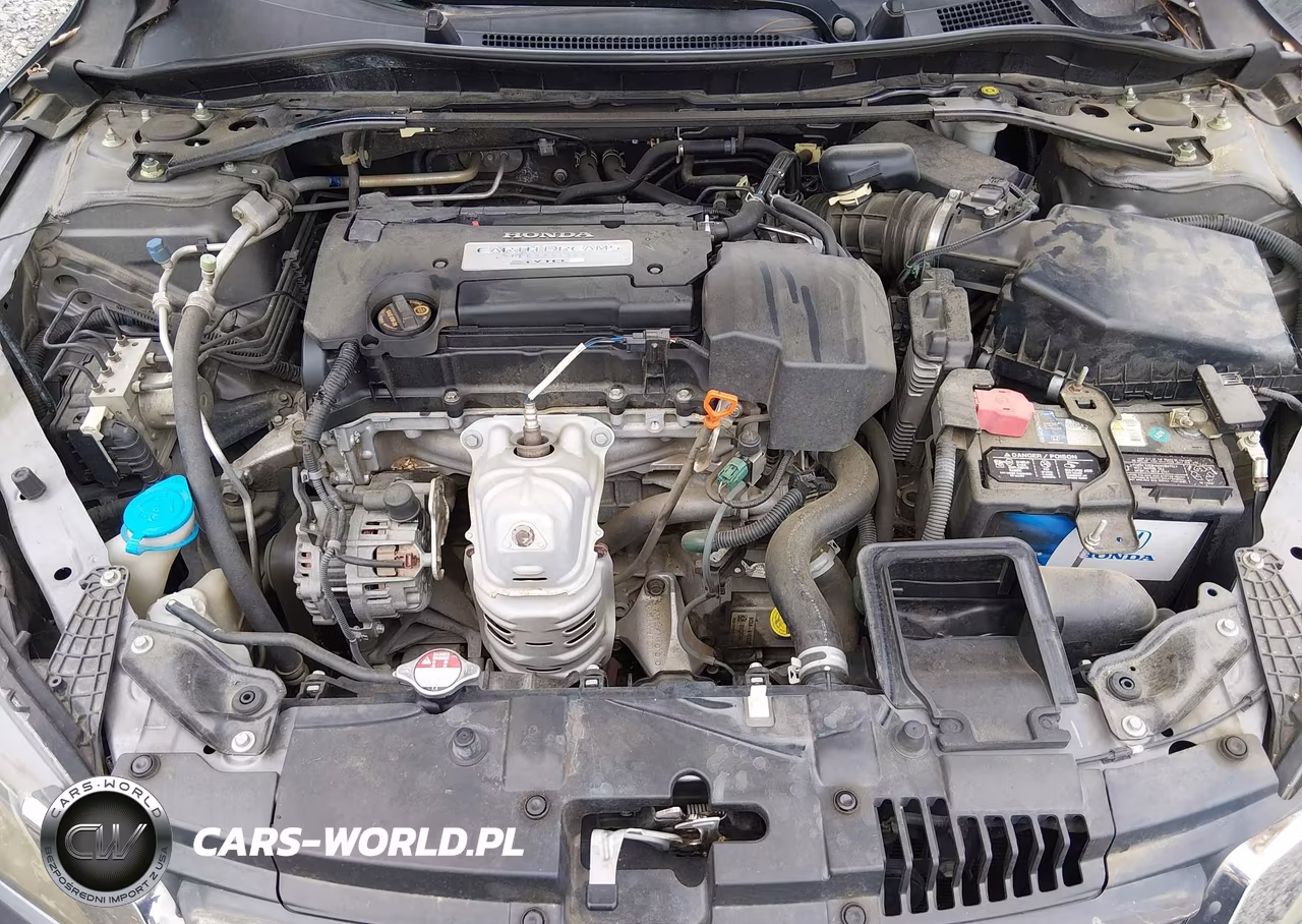2013 Honda Accord Ex-L VIN:1HGCR2F82DA147112 - 10