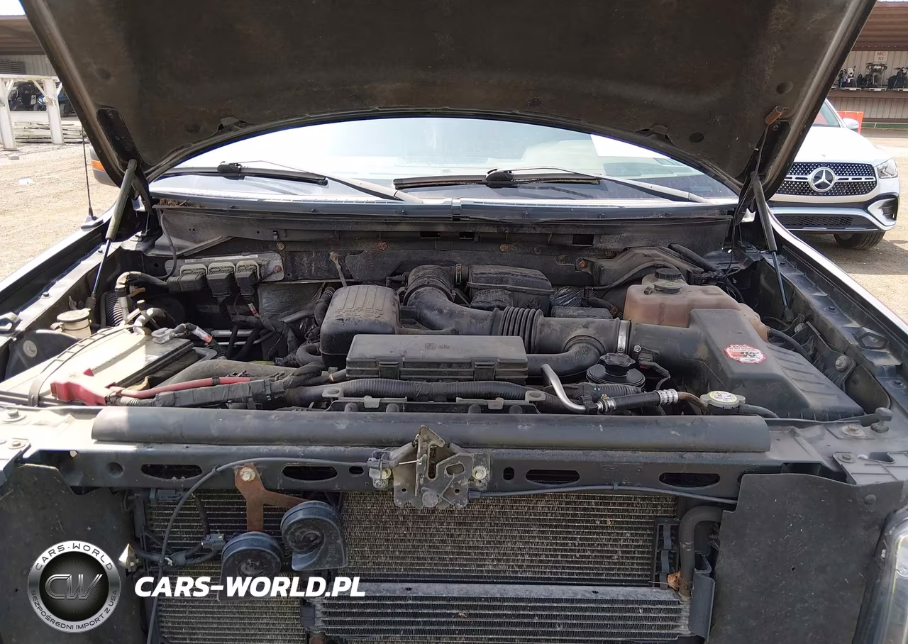 2010 Ford F150 Supercrew VIN:1FTFW1EV6AFB19558 - 10