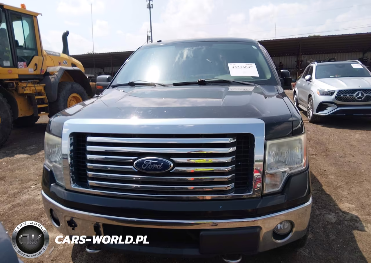 2010 Ford F150 Supercrew VIN:1FTFW1EV6AFB19558 - 12