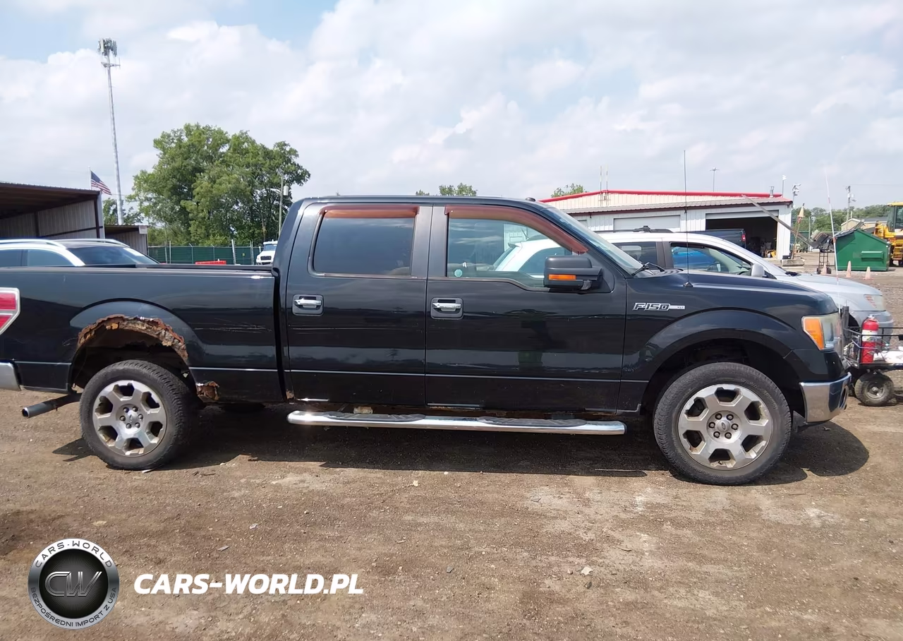 2010 Ford F150 Supercrew VIN:1FTFW1EV6AFB19558 - 13
