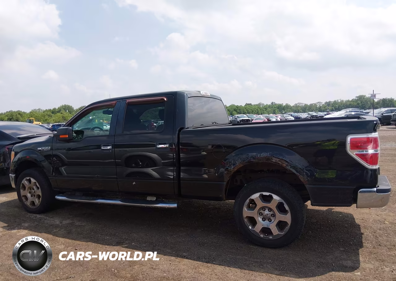 2010 Ford F150 Supercrew VIN:1FTFW1EV6AFB19558 - 14