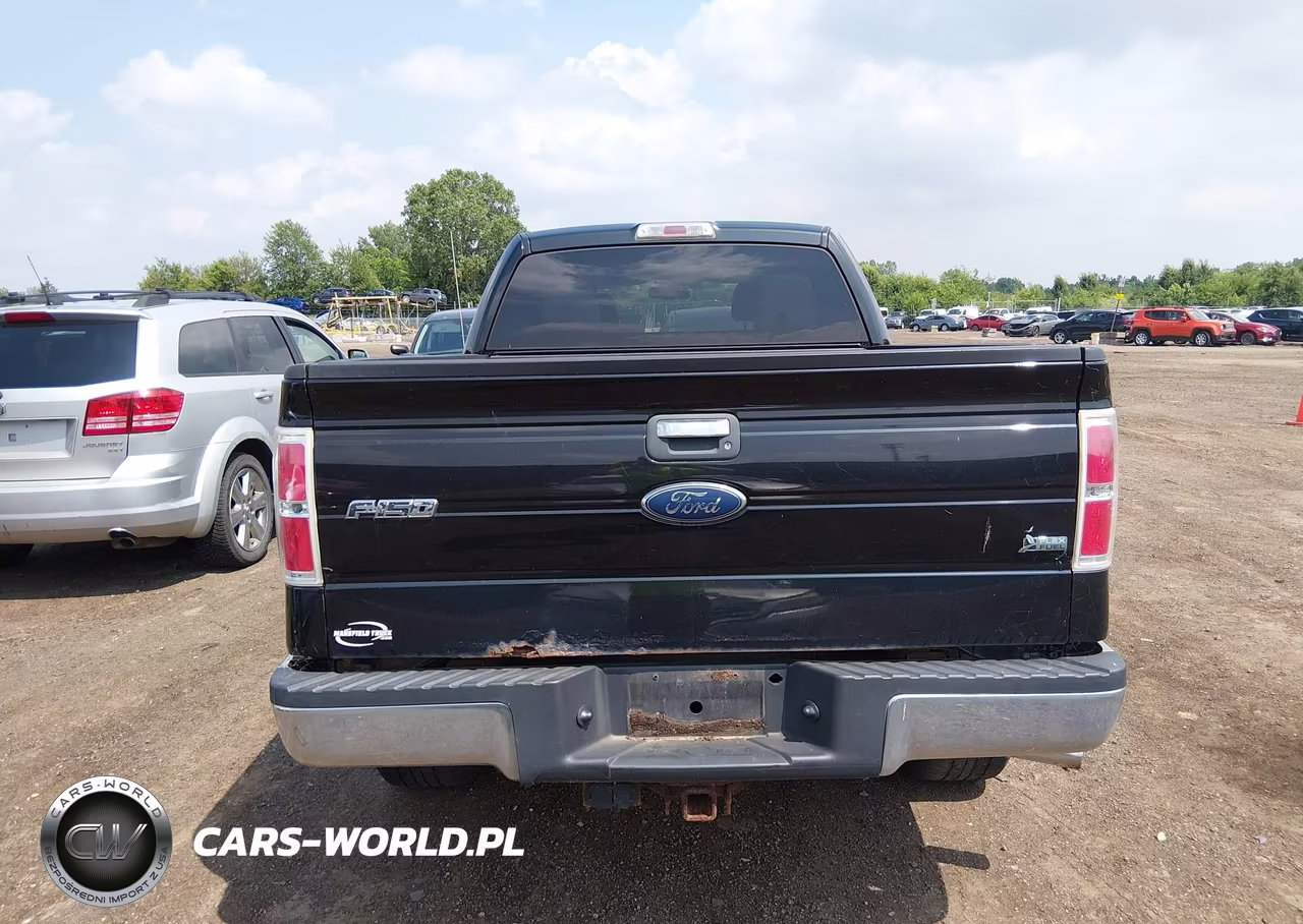 2010 Ford F150 Supercrew VIN:1FTFW1EV6AFB19558 - 16