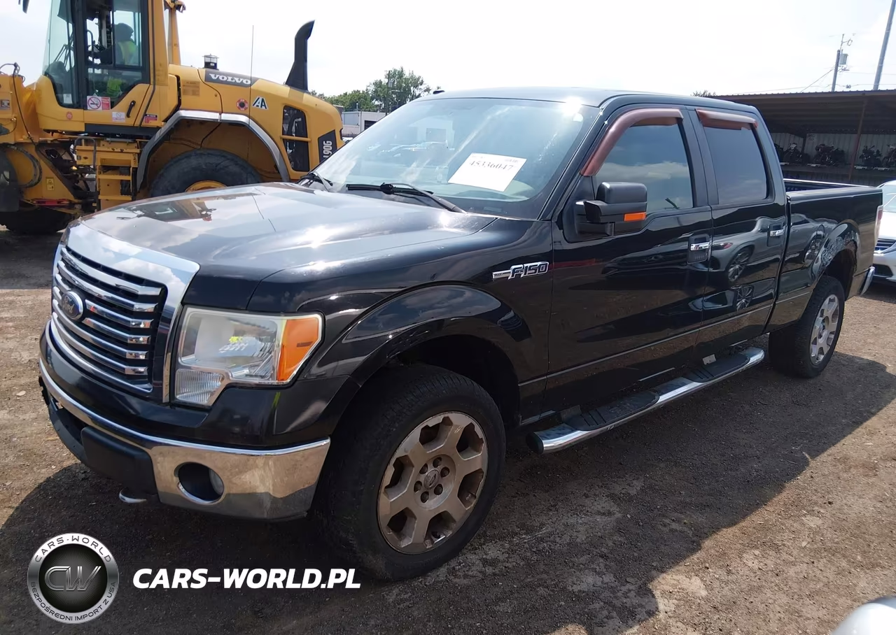 2010 Ford F150 Supercrew VIN:1FTFW1EV6AFB19558 - 2