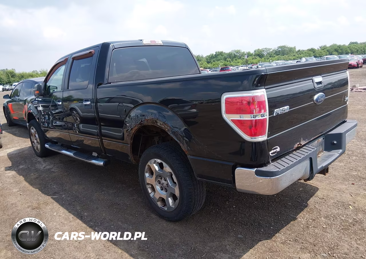 2010 Ford F150 Supercrew VIN:1FTFW1EV6AFB19558 - 3