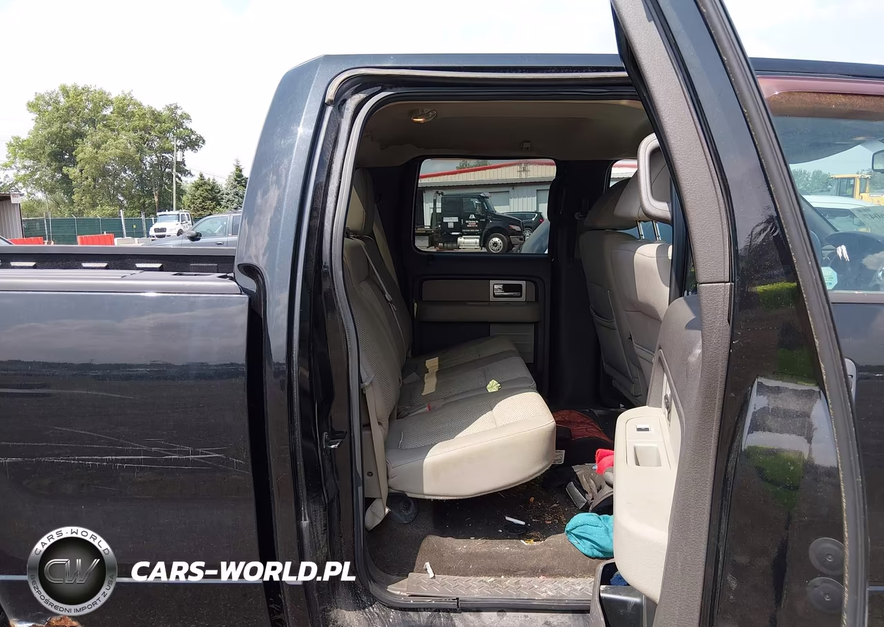 2010 Ford F150 Supercrew VIN:1FTFW1EV6AFB19558 - 8