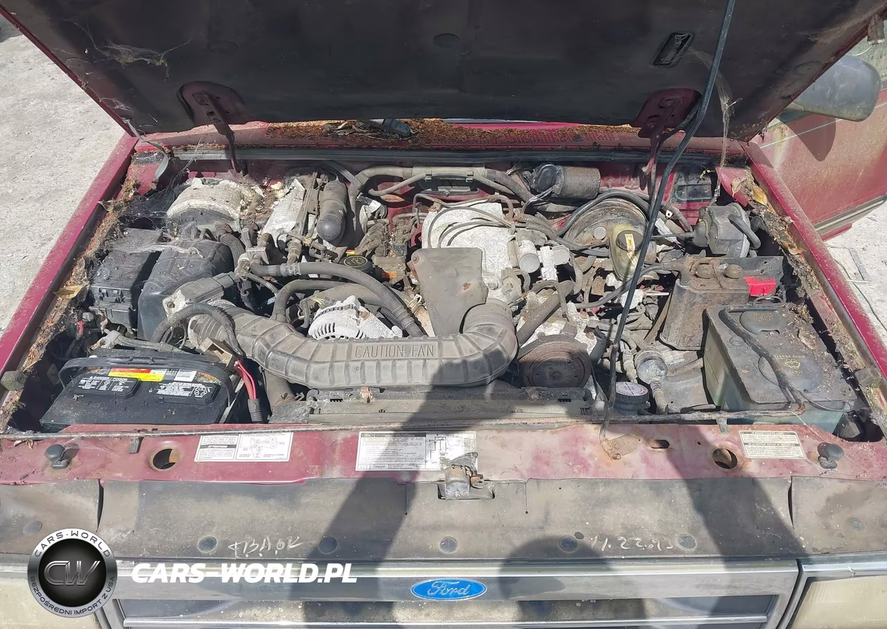 1994 Ford Explorer VIN:1FMDU34X5RUA87555 - 10