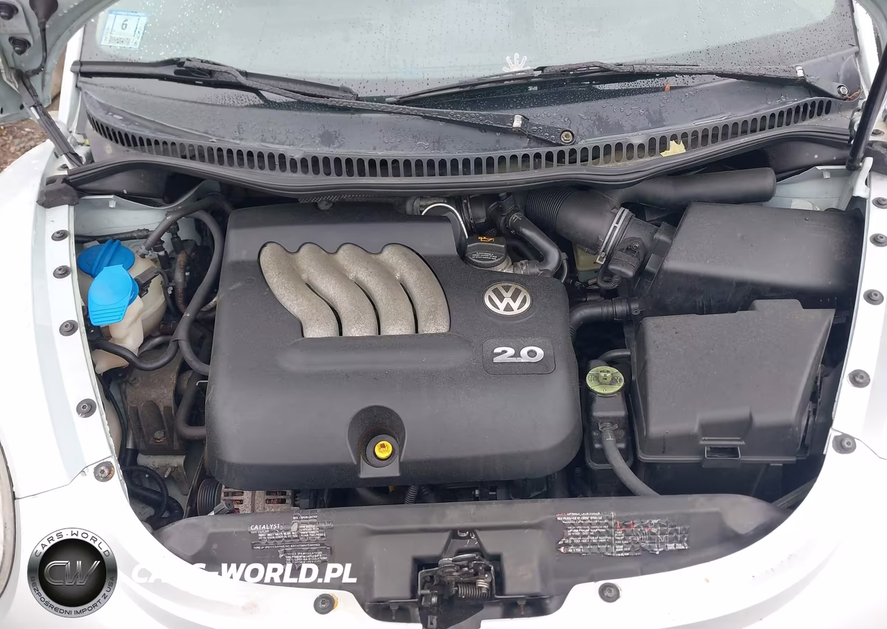 2005 Volkswagen New Beetle Gl VIN:3VWBM31Y65M304650 - 10