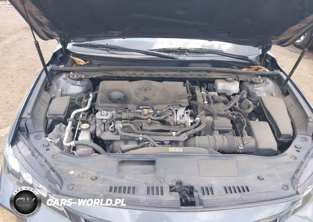 2019 Toyota Avalon Hybrid Xse VIN:4T1B21FB2KU004379 - 10
