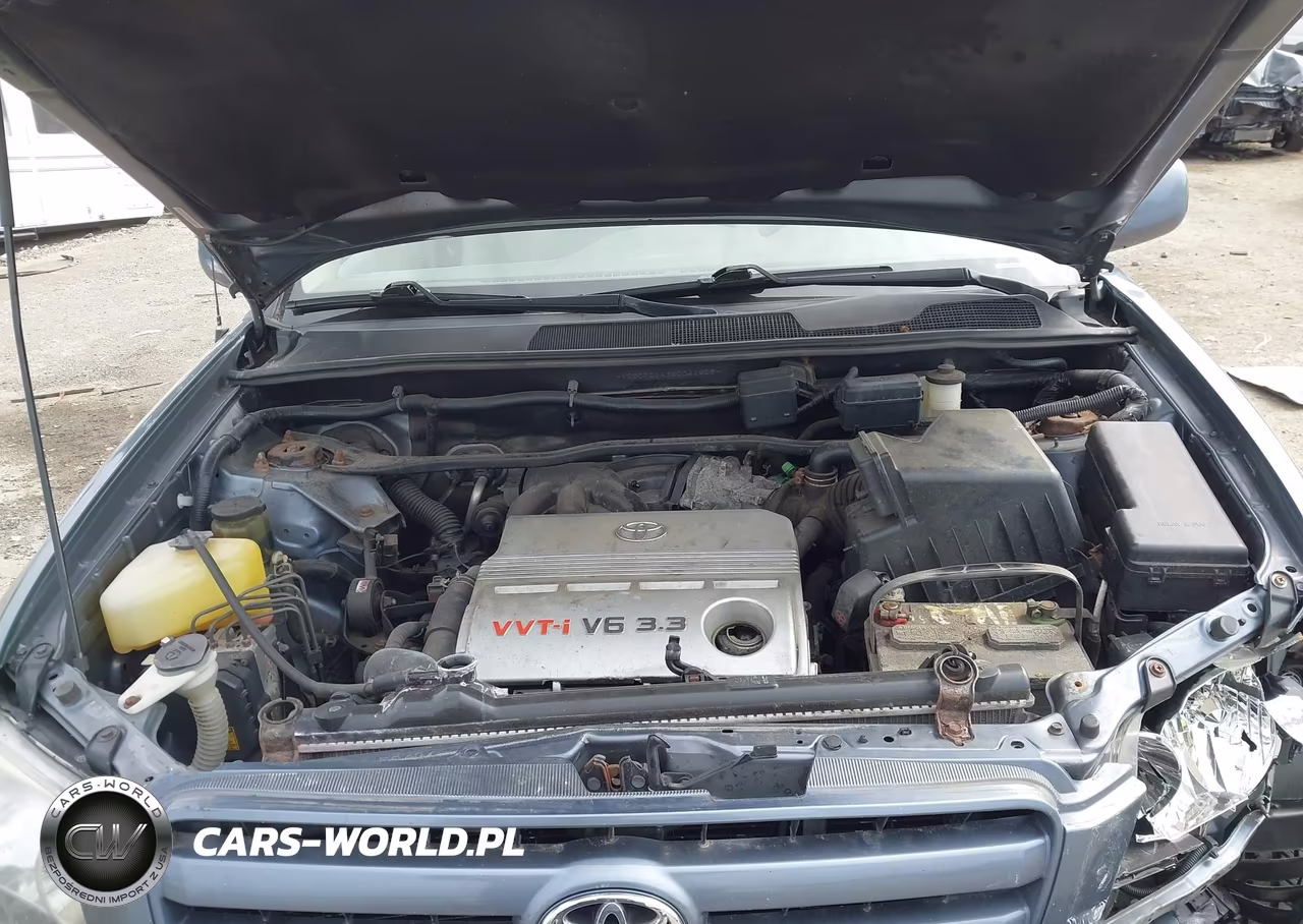 2004 Toyota Highlander V6 VIN:JTEDP21A340041403 - 10