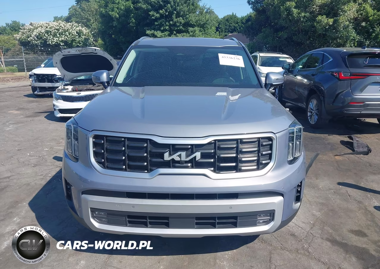 2024 Kia Telluride Sx VIN:5XYP54GC0RG454053 - 12