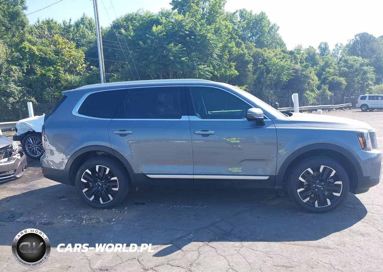 2024 Kia Telluride Sx VIN:5XYP54GC0RG454053 - 13