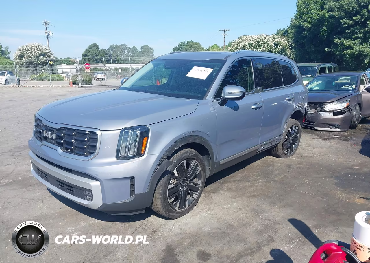 2024 Kia Telluride Sx VIN:5XYP54GC0RG454053 - 2