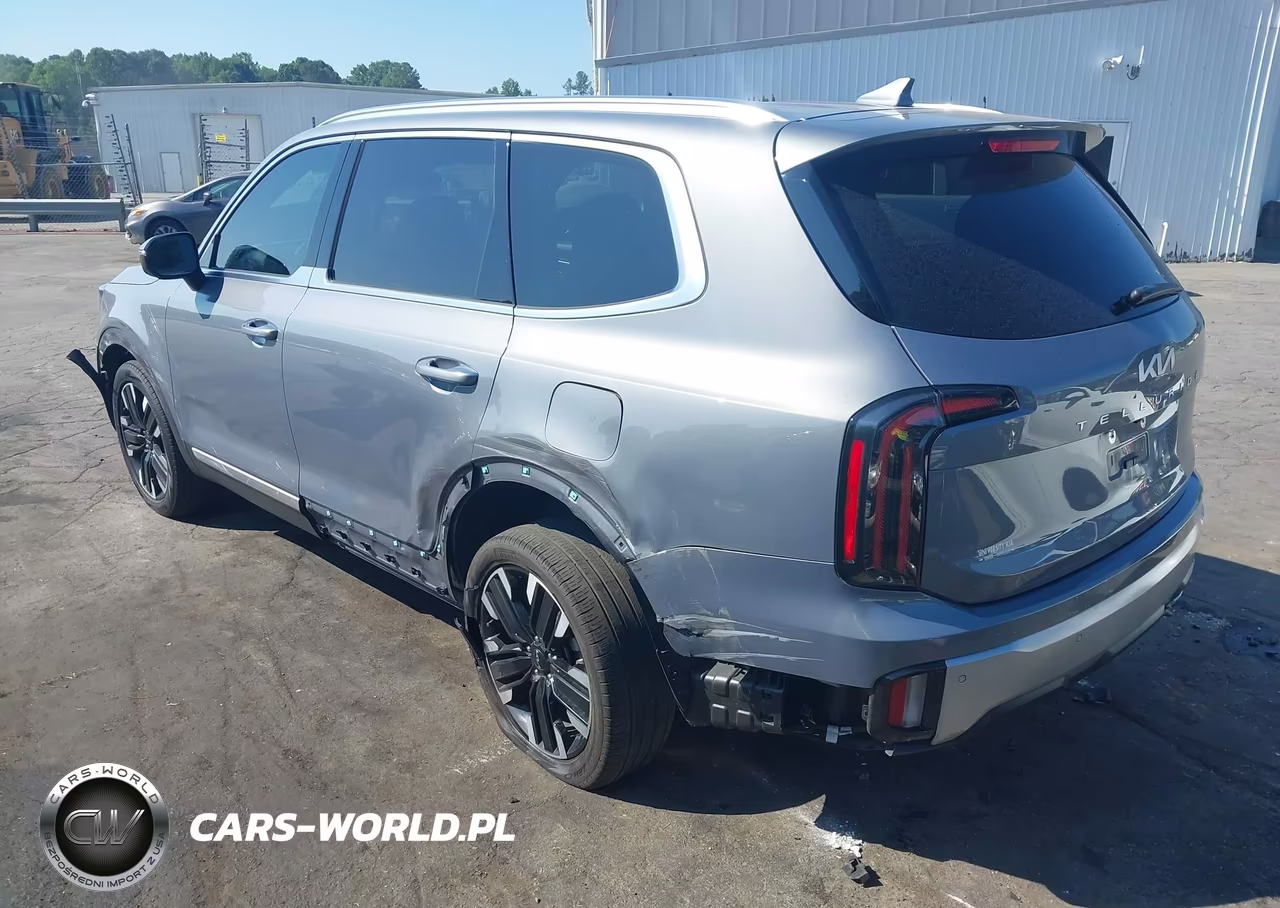 2024 Kia Telluride Sx VIN:5XYP54GC0RG454053 - 3