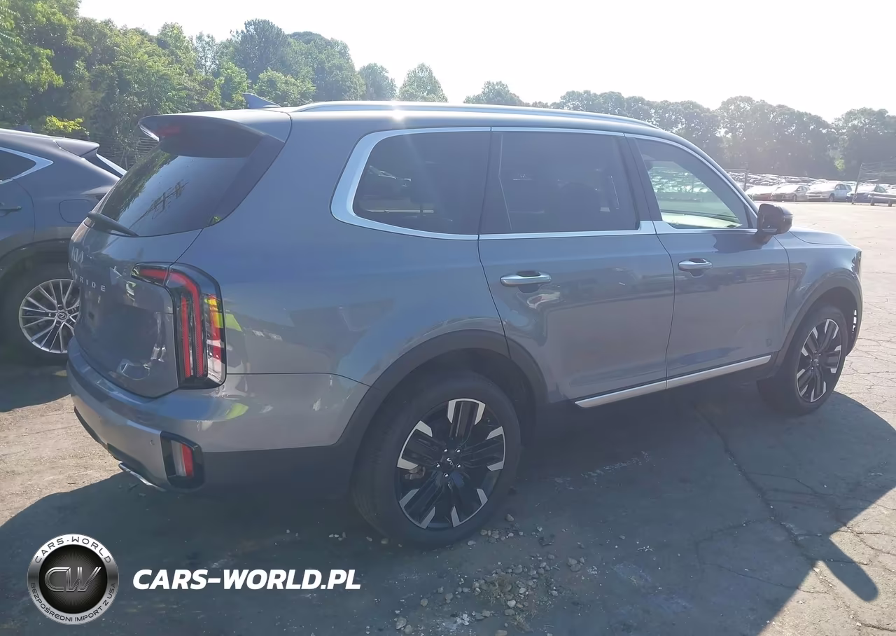 2024 Kia Telluride Sx VIN:5XYP54GC0RG454053 - 4