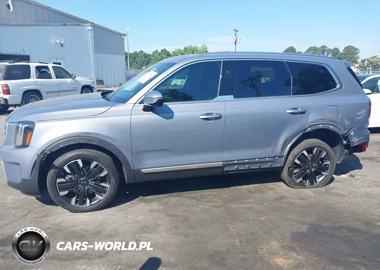 2024 Kia Telluride Sx VIN:5XYP54GC0RG454053 - 6