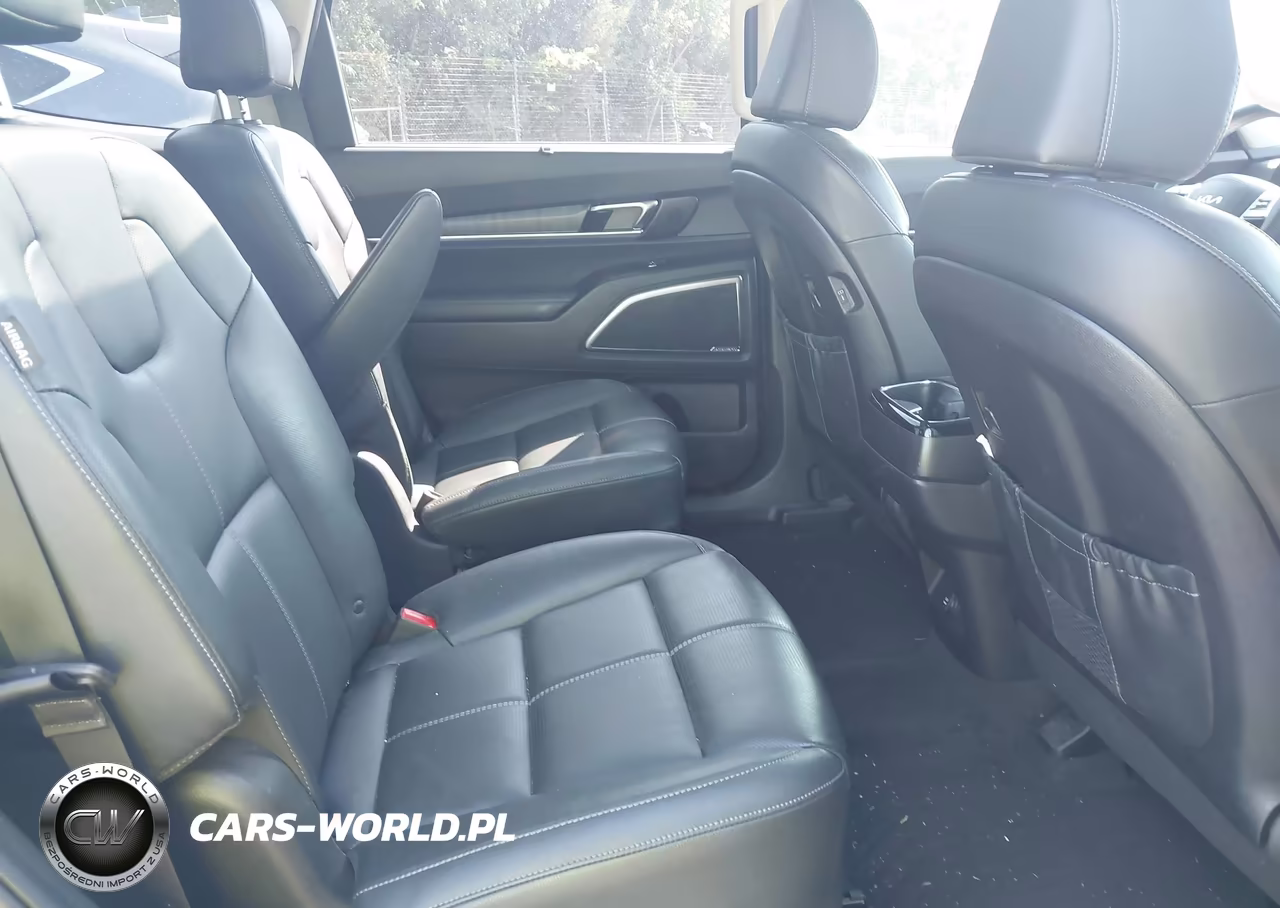 2024 Kia Telluride Sx VIN:5XYP54GC0RG454053 - 8