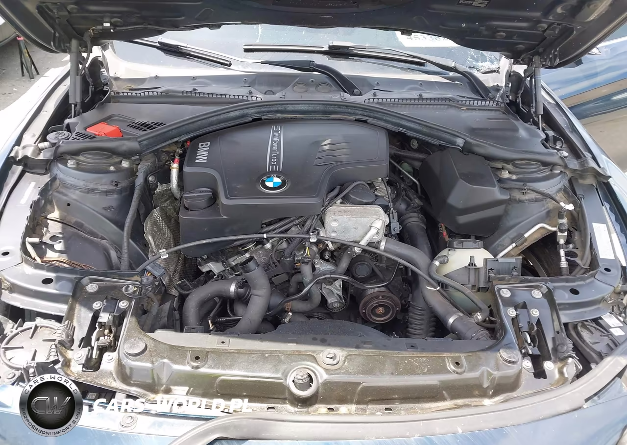 2014 BMW 428I xDrive VIN:WBA3N5C50EK197358 - 10