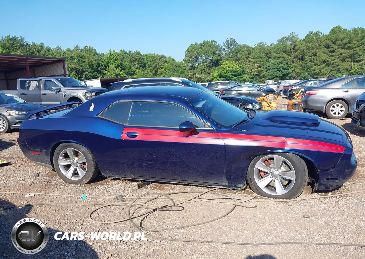 2013 Dodge Challenger R-T Plus VIN:2C3CDYBTXDH710343 - 13