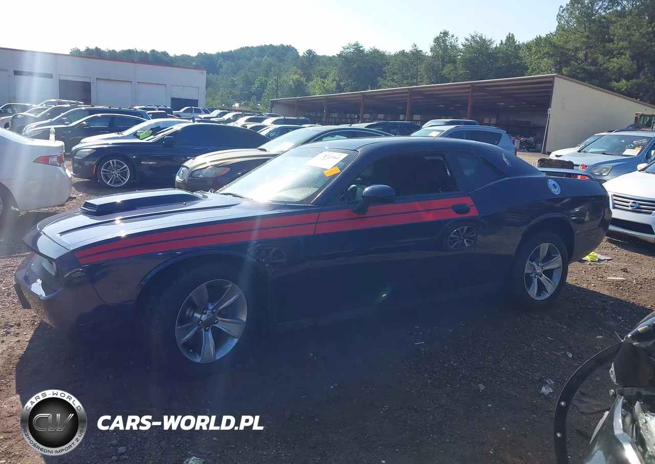 2013 Dodge Challenger R-T Plus VIN:2C3CDYBTXDH710343 - 14