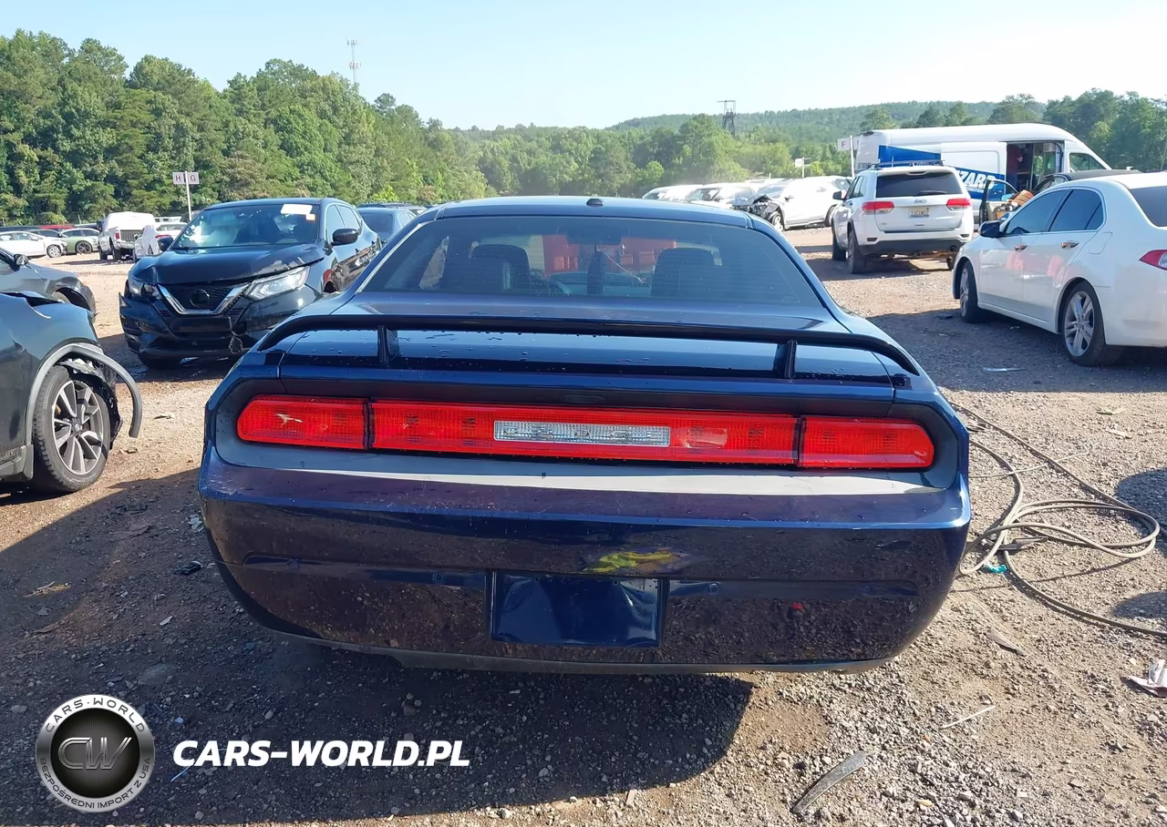 2013 Dodge Challenger R-T Plus VIN:2C3CDYBTXDH710343 - 16