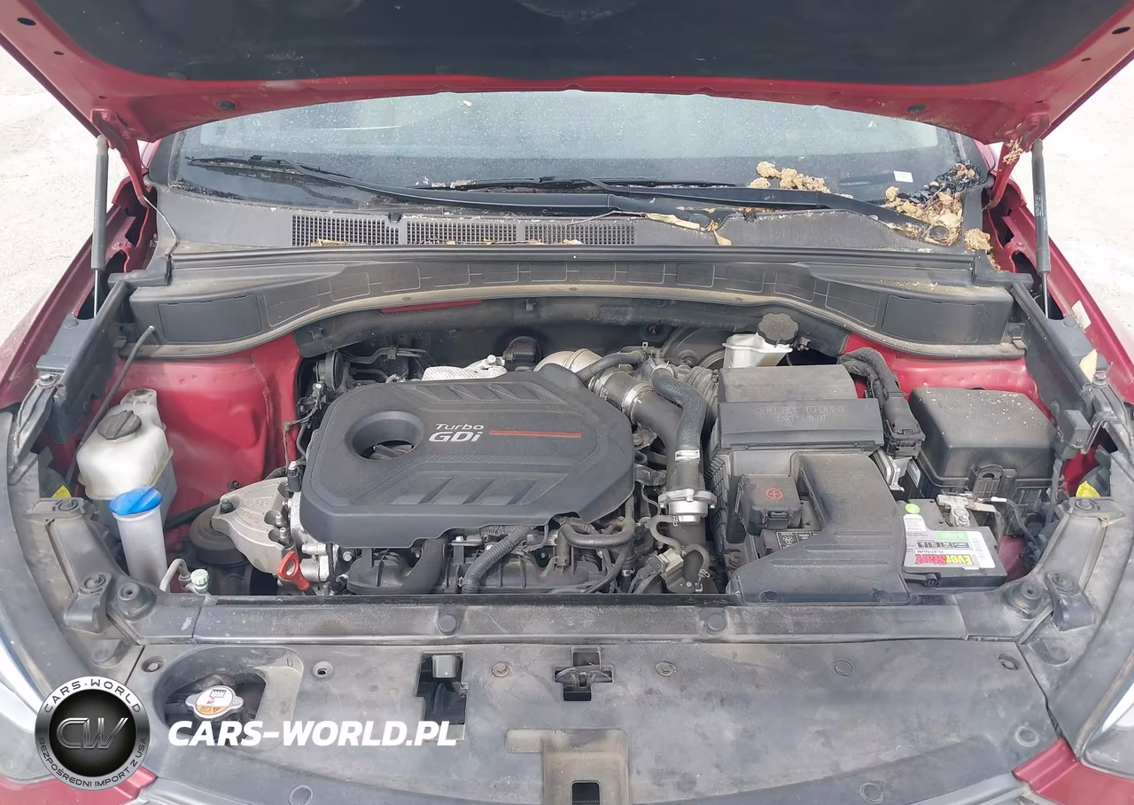 2018 Hyundai Santa Fe Sport 2.0T Ultimate VIN:5XYZWDLA1JG515263 - 10
