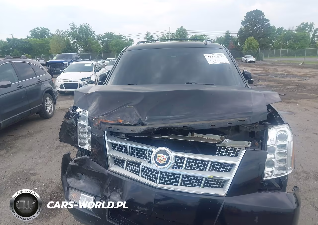 2013 Cadillac Escalade Platinum Edition VIN:1GYS4DEF8DR279999 - 12