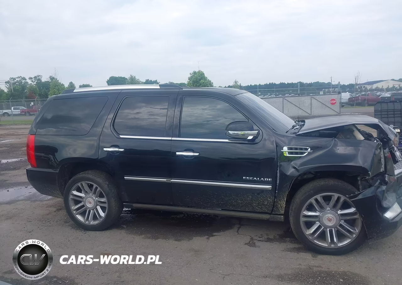 2013 Cadillac Escalade Platinum Edition VIN:1GYS4DEF8DR279999 - 13