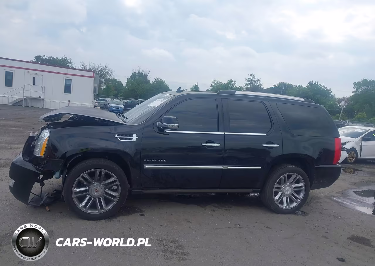 2013 Cadillac Escalade Platinum Edition VIN:1GYS4DEF8DR279999 - 14