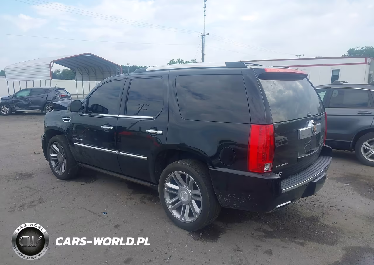 2013 Cadillac Escalade Platinum Edition VIN:1GYS4DEF8DR279999 - 3
