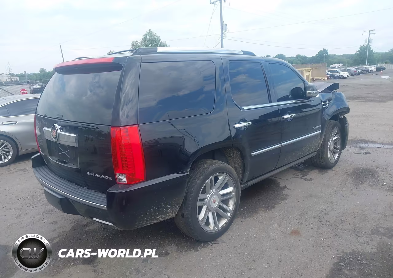 2013 Cadillac Escalade Platinum Edition VIN:1GYS4DEF8DR279999 - 4