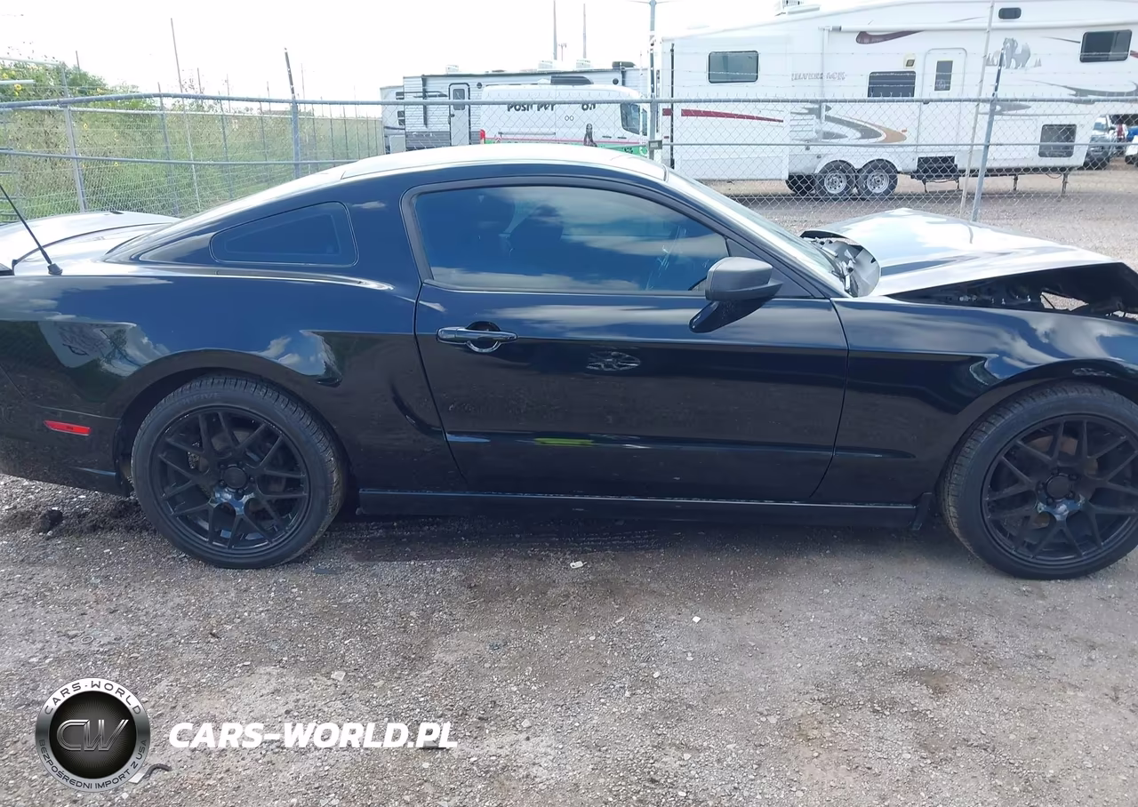 2014 Ford Mustang V6 VIN:1ZVBP8AMXE5274611 - 14