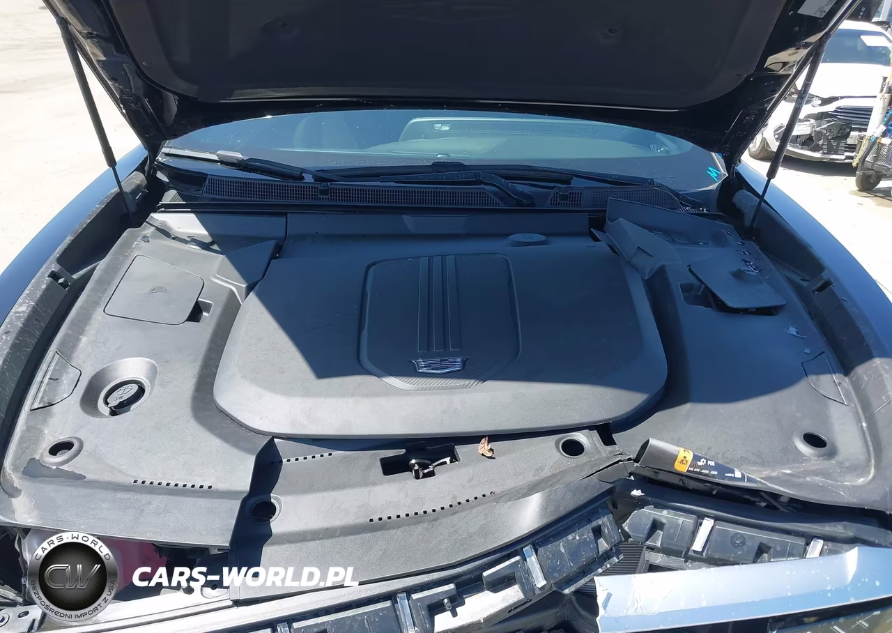2024 Cadillac Lyriq Luxury W-1Sd VIN:1GYKPRRK2RZ138462 - 10