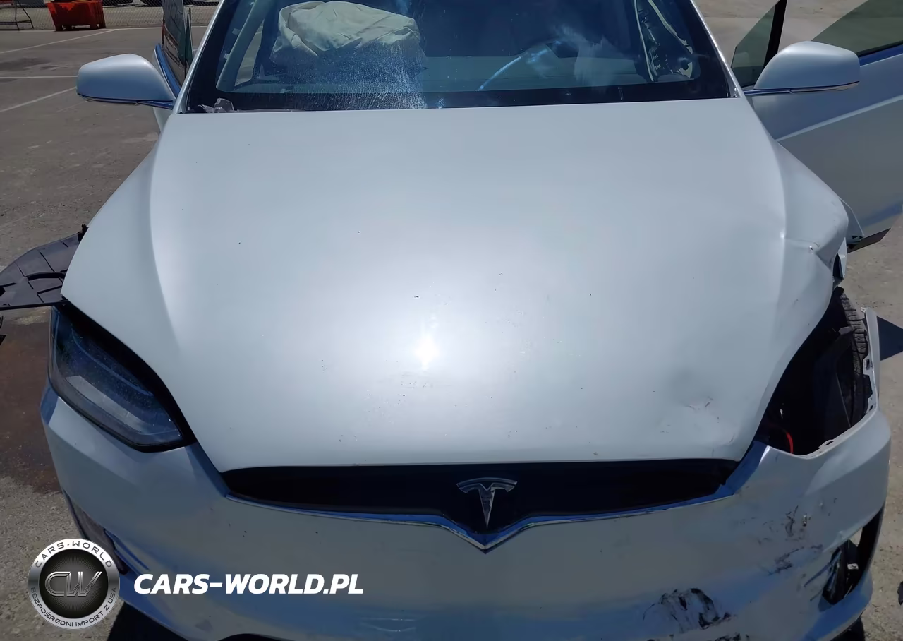 2018 Tesla Model X 100D-75D-P100D VIN:5YJXCBE25JF137210 - 10