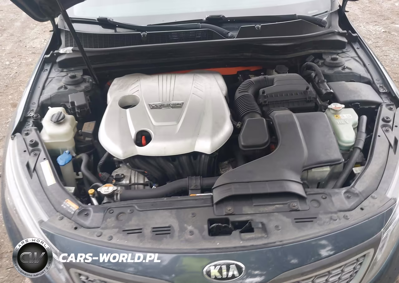 2015 Kia Optima Hybrid VIN:KNAGM4AD3F5081922 - 10
