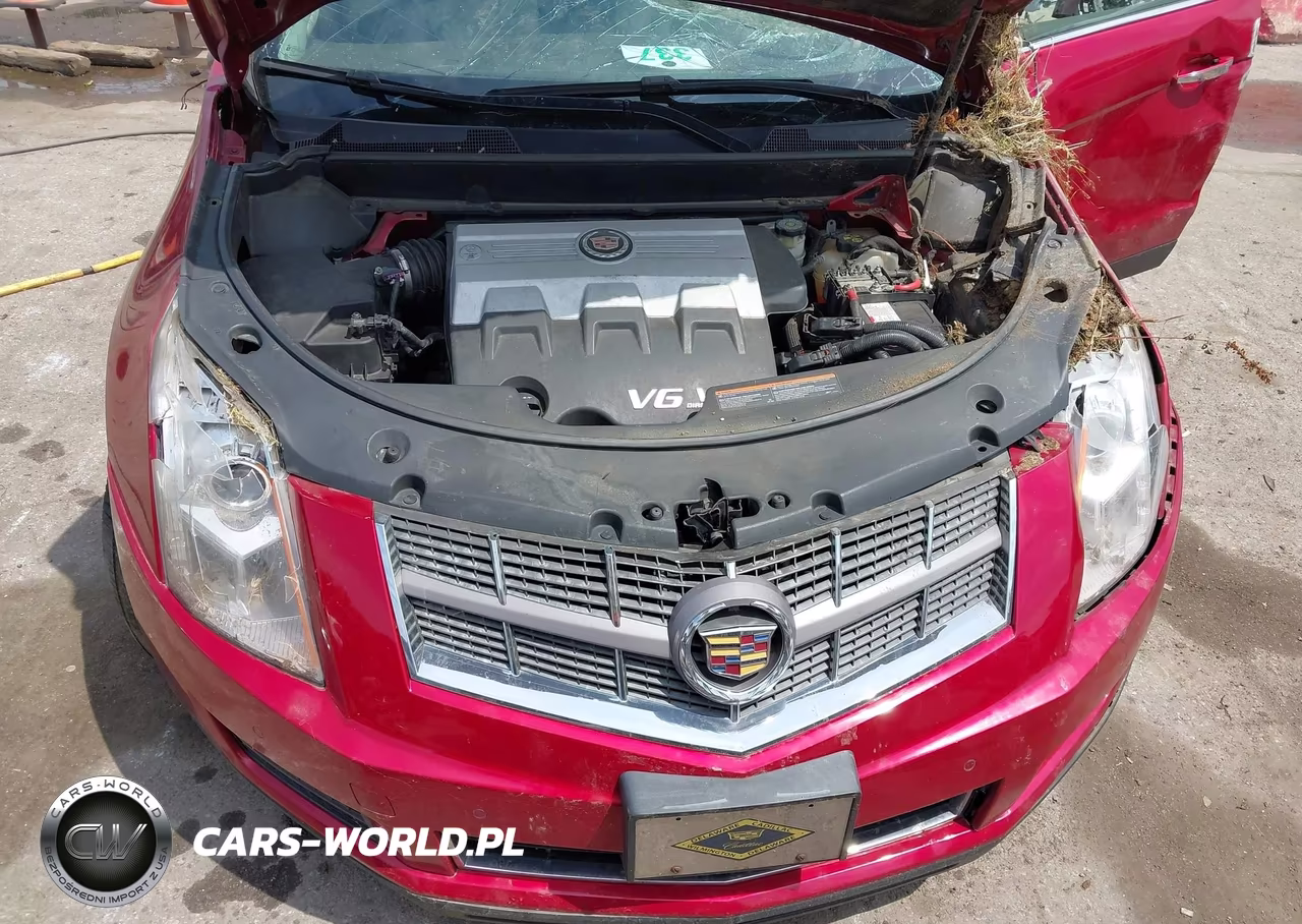 2010 Cadillac Srx Luxury Collection VIN:3GYFNDEY9AS593024 - 10