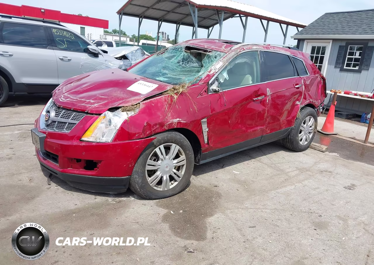 2010 Cadillac Srx Luxury Collection VIN:3GYFNDEY9AS593024 - 2