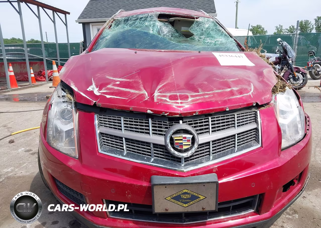 2010 Cadillac Srx Luxury Collection VIN:3GYFNDEY9AS593024 - 6