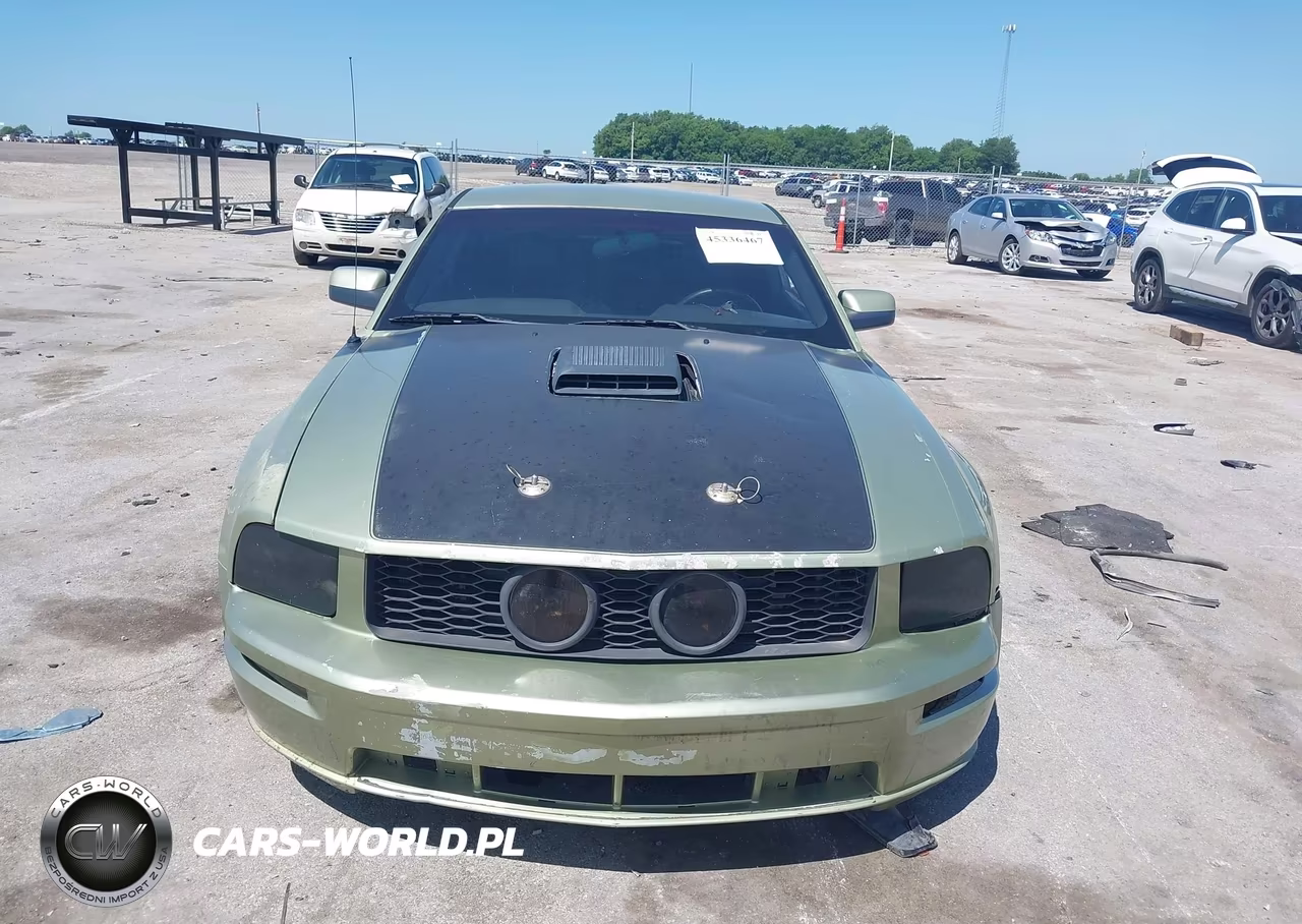 2006 Ford Mustang Gt VIN:1ZVHT82H665172599 - 12