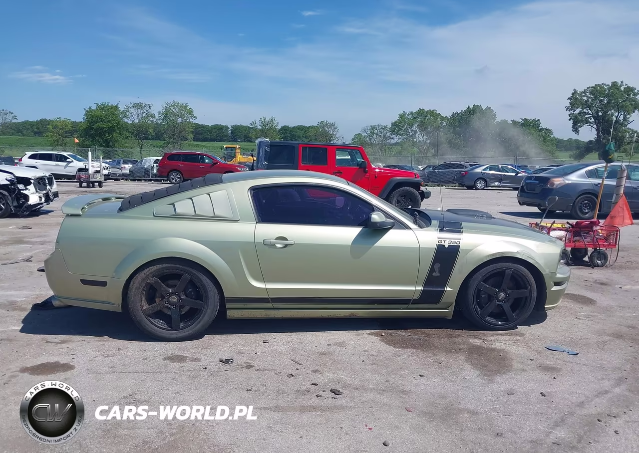 2006 Ford Mustang Gt VIN:1ZVHT82H665172599 - 13