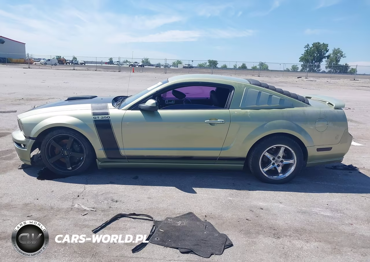 2006 Ford Mustang Gt VIN:1ZVHT82H665172599 - 14