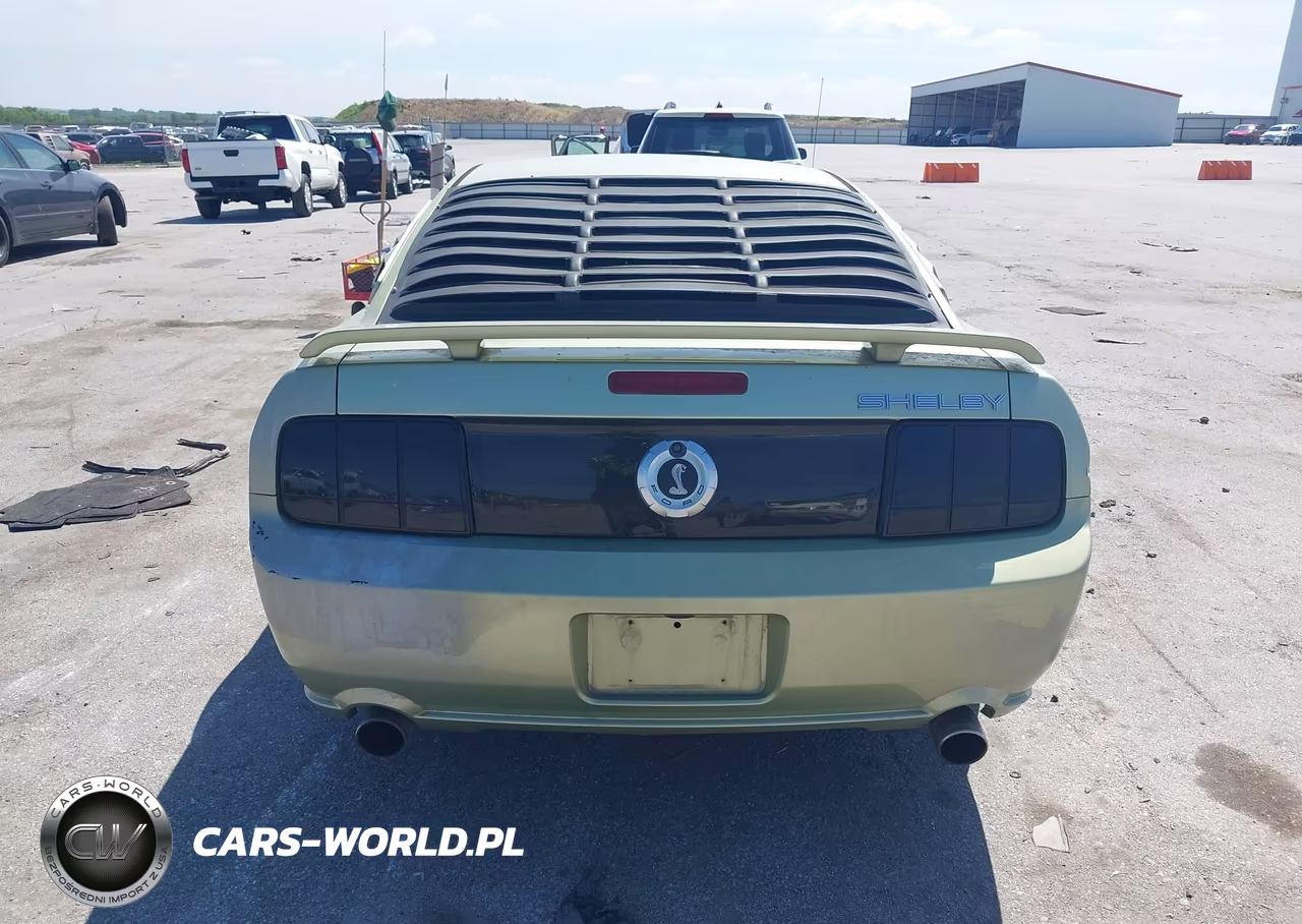 2006 Ford Mustang Gt VIN:1ZVHT82H665172599 - 16