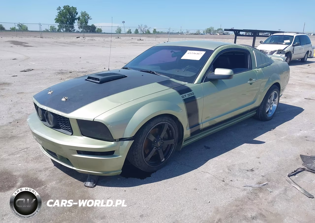 2006 Ford Mustang Gt VIN:1ZVHT82H665172599 - 2