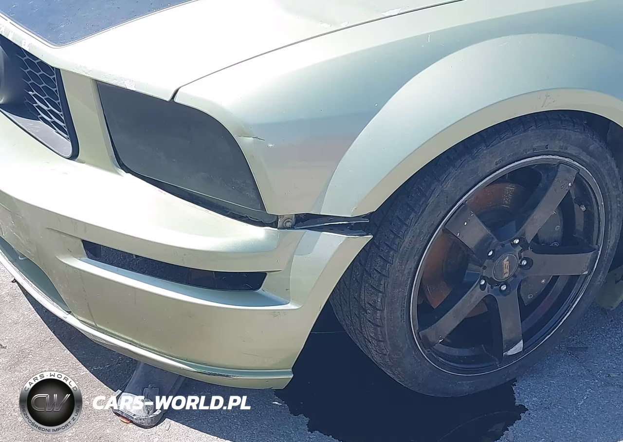 2006 Ford Mustang Gt VIN:1ZVHT82H665172599 - 6