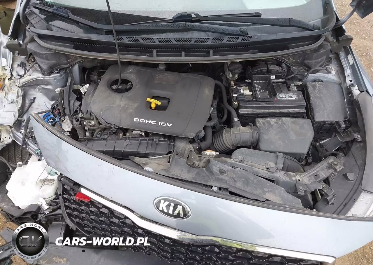 2017 Kia Forte S VIN:3KPFL4A78HE109149 - 10