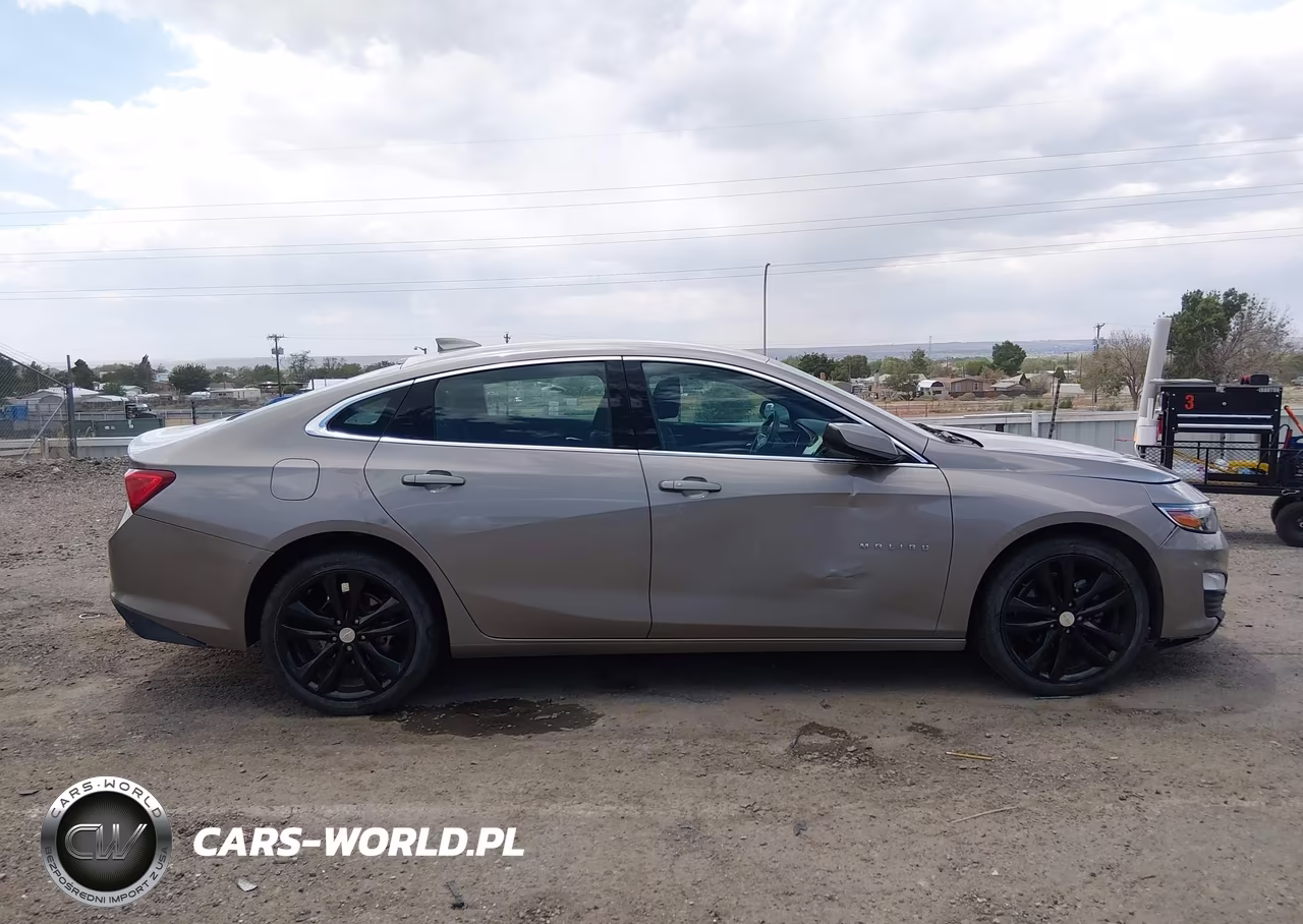 2023 Chevrolet Malibu Fwd 1Lt VIN:1G1ZD5ST6PF245594 - 13