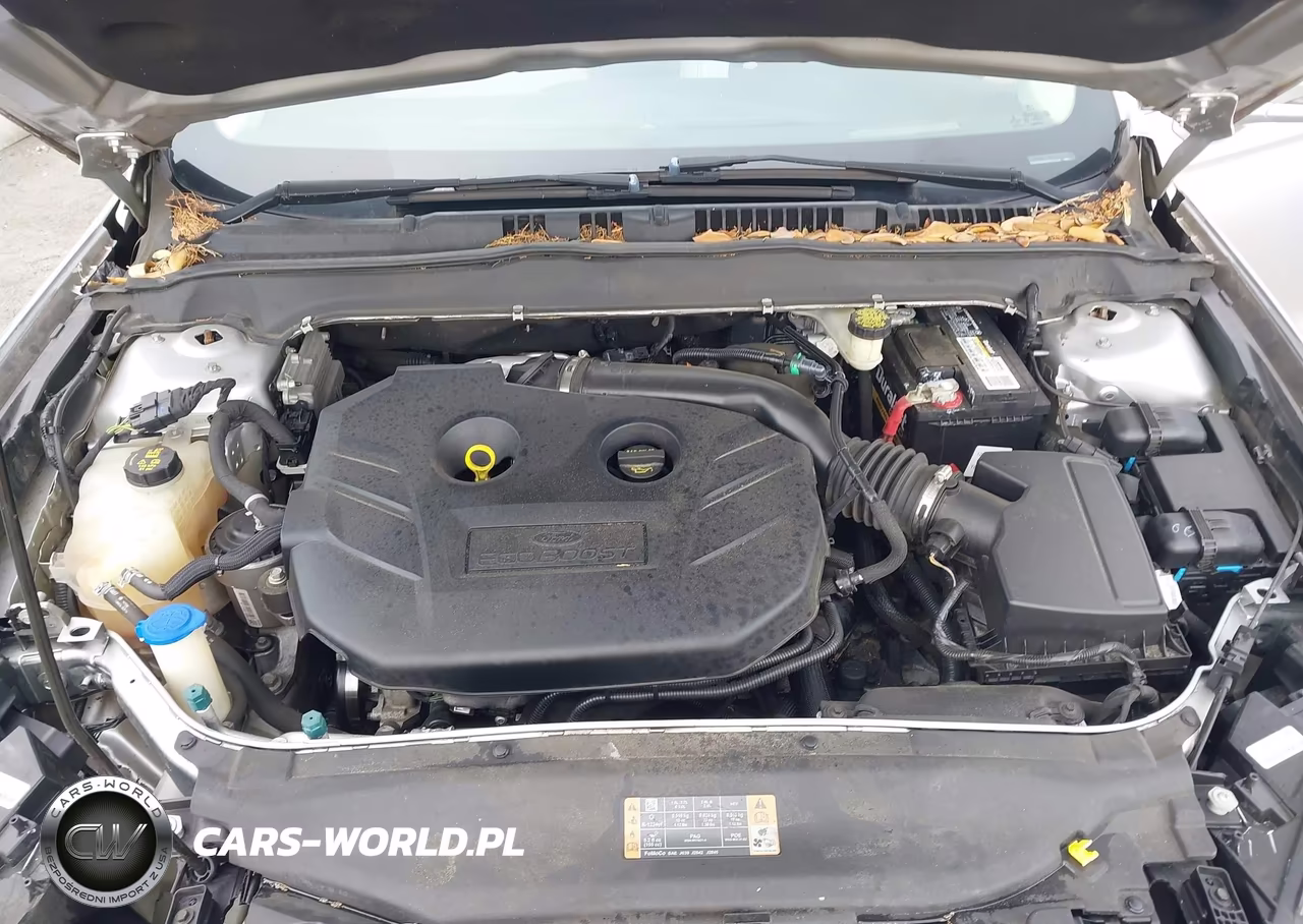 2017 Ford Fusion Titanium VIN:3FA6P0K99HR270508 - 10